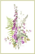 Foxgloves