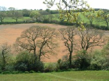 Mawnans fields